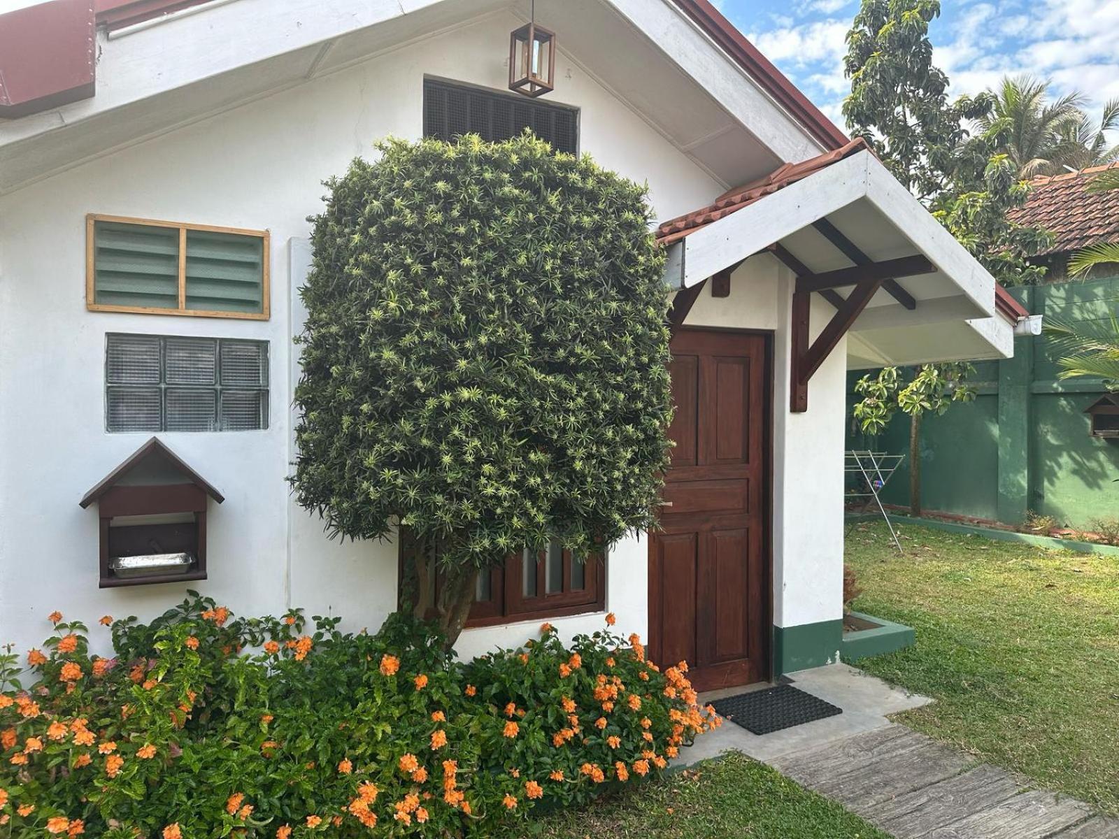 Hamilton House Hotel Negombo Bagian luar foto